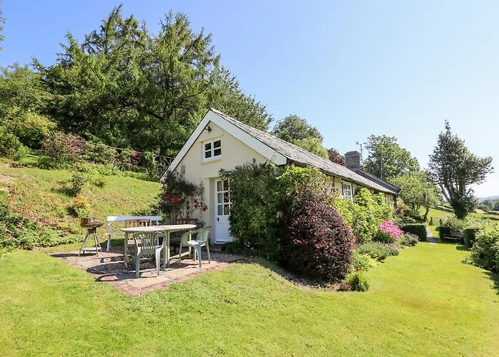 Dolgenau Hir - The Barn
